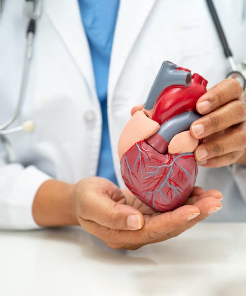 cardiology - Cardiology