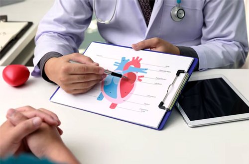 cardiology1 - Services