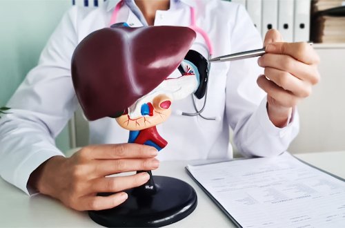 hepatology1 - Services