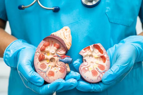 nephrology1 - Services